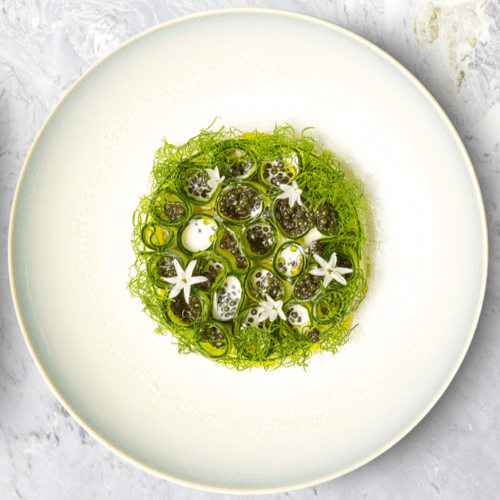 Apicius